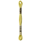DMC embroidery floss – VERY LIGHT MOSS GRN (165)