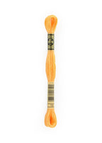 DMC embroidery floss – MEDIUM LIGHT AUTUMN GOLD (19)