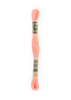 DMC embroidery floss – SHRIMP (20)