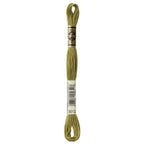 DMC embroidery floss – MED KHAK GRN (3012)