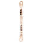 DMC embroidery floss – VERY LIGHT MOCHA BRN (3033)