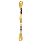 DMC embroidery floss – MED YLW BGE (3046)