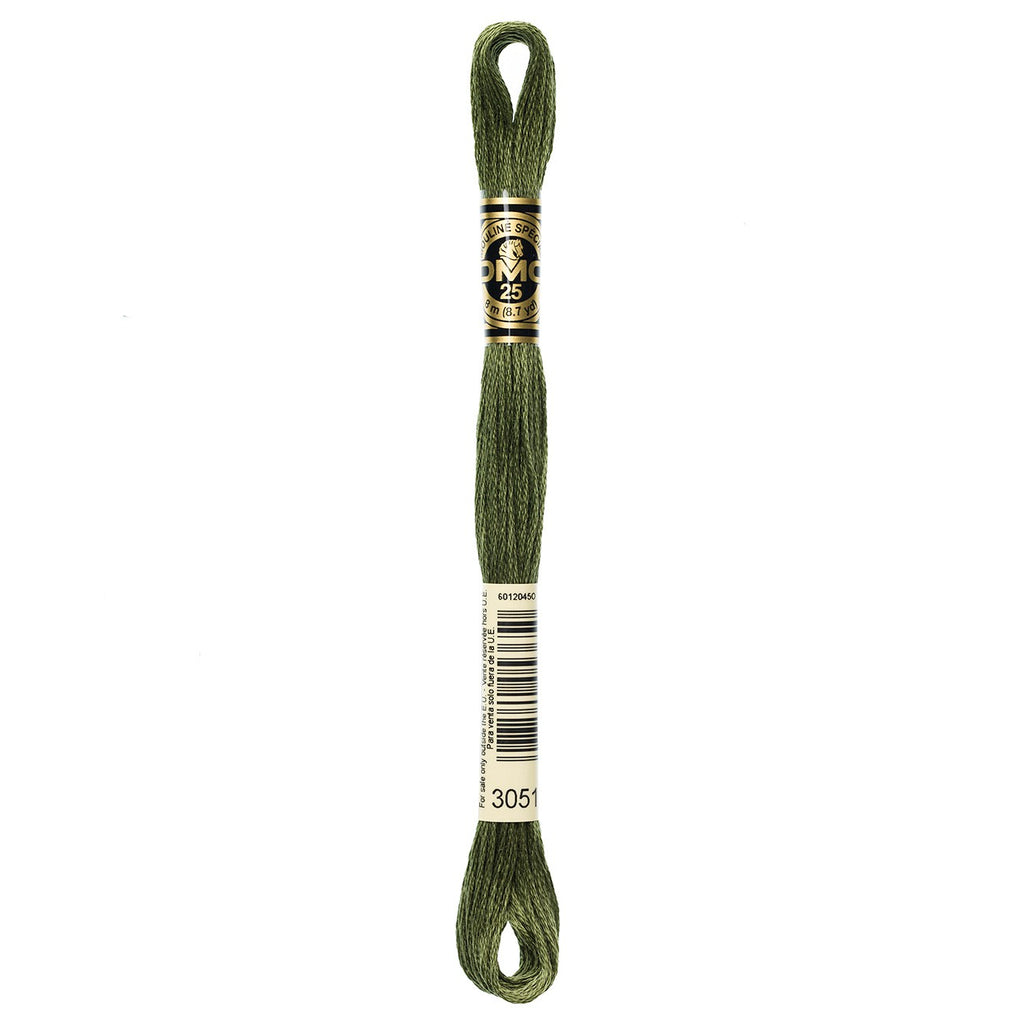 DMC embroidery floss – DARK GRN GRY (3051)