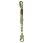 DMC embroidery floss – GRN GRY (3053)
