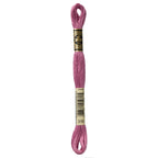 DMC embroidery floss – MED ANT MVE (316)