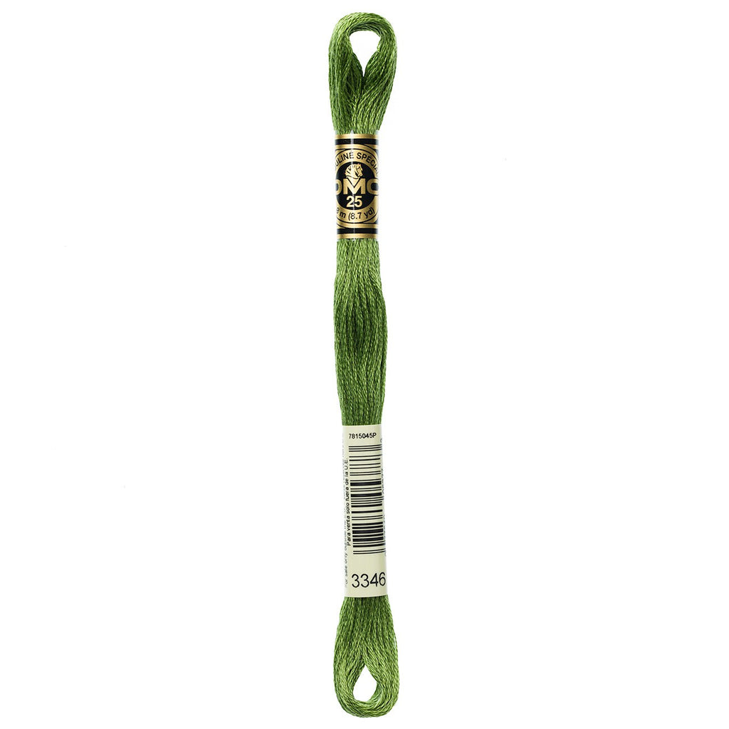 DMC embroidery floss – HTR GRN (3346)