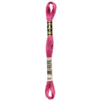 DMC embroidery floss – MVE (3687)