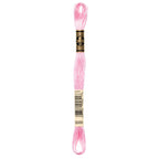 DMC embroidery floss – LIGHT MVE (3689)