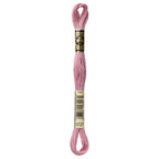 DMC embroidery floss – LIGHT ANT MVE (3727)