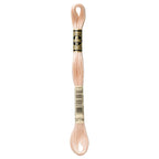 DMC embroidery floss – VERY LIGHT DESERT SAND (3774)
