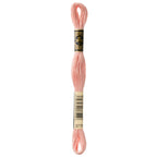 DMC embroidery floss – ULTRA VERY LIGHT TERRA COTTA (3779)