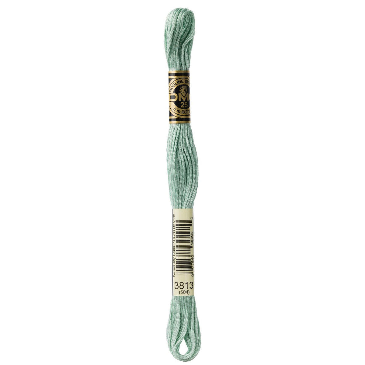 DMC embroidery floss – LIGHT BLU GRN (3813)
