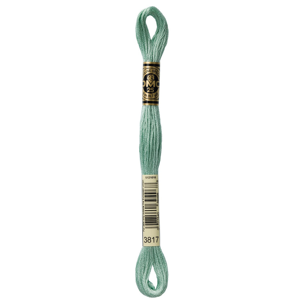 DMC embroidery floss – LIGHT CELADON GRN (3817)