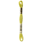 DMC embroidery floss – LIGHT MOSS GRN (3819)