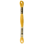 DMC embroidery floss – STRAW (3821)