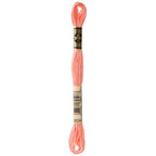 DMC embroidery floss – LIGHT APRICOT (3824)