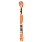 DMC embroidery floss – PALE PUMP (3825)