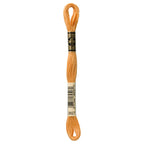 DMC embroidery floss – PALE GOLDN BRN (3827)