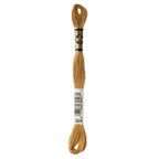 DMC embroidery floss – HAZELNUT BRN (3828)
