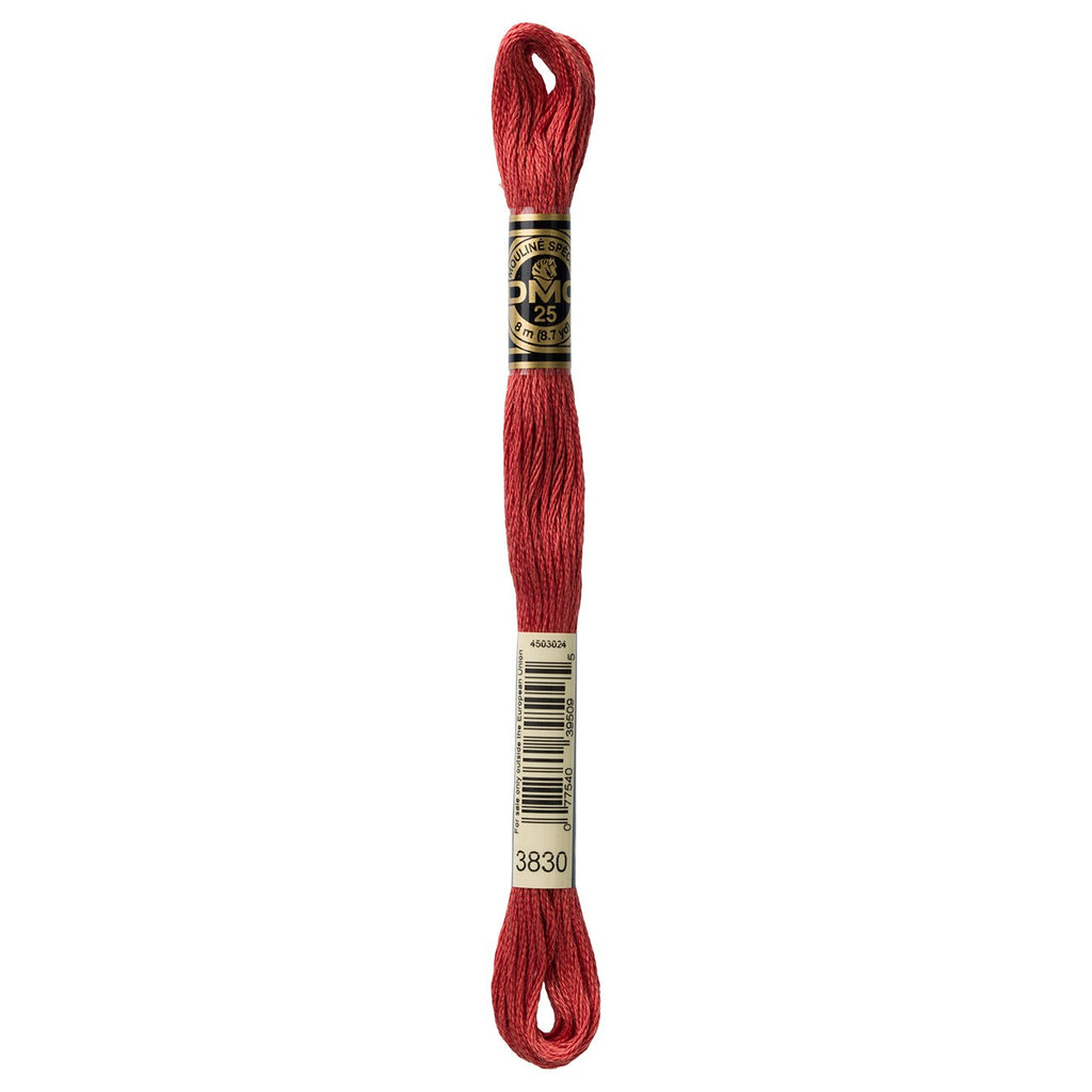 DMC embroidery floss – TERRA COTTA (3830)