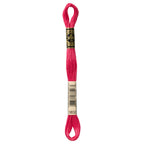 DMC embroidery floss – MED RASP (3832)
