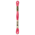 DMC embroidery floss – LIGHT RASP (3833)