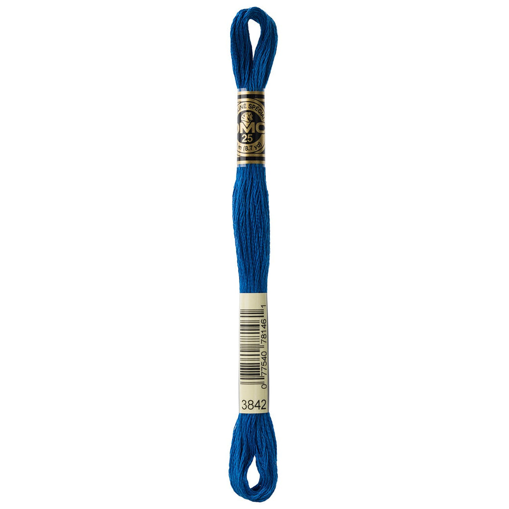 DMC embroidery floss – DARK WEDGWD (3842)