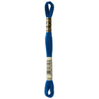 DMC embroidery floss – DARK WEDGWD (3842)
