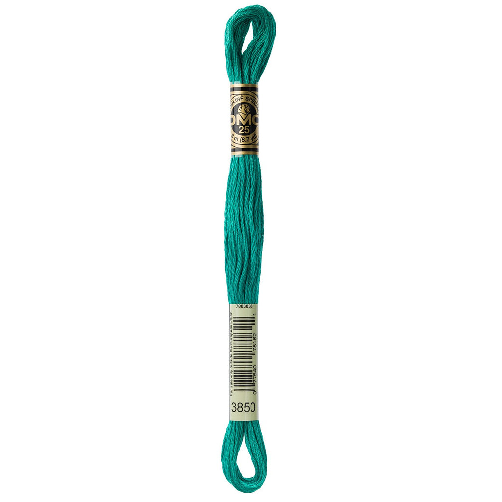 DMC embroidery floss – DARK BRIGHT GRN (3850)