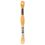 DMC embroidery floss – LIGHT AUTUMN GLD (3855)