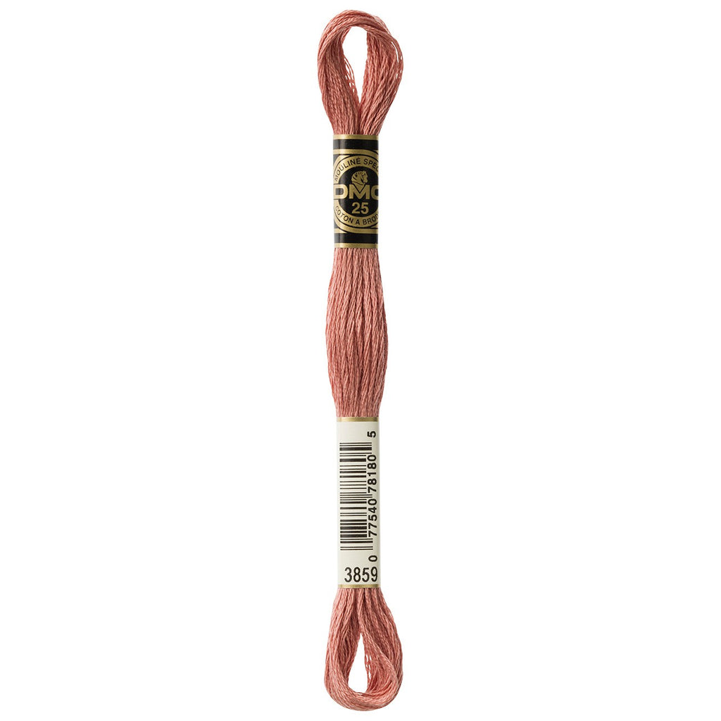 DMC embroidery floss – LIGHT RSEWOOD (3859)