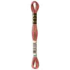 DMC embroidery floss – LIGHT RSEWOOD (3859)