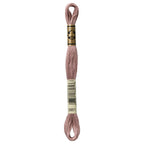 DMC embroidery floss – LIGHT COCOA (3861)