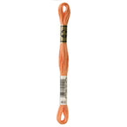 DMC embroidery floss – VERY LIGHT MAHOGANY (402)