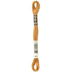 DMC embroidery floss – DARK HAZELNUT BRN (420)