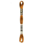 DMC embroidery floss – LIGHT BRN (434)