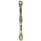 DMC embroidery floss – LIGHT FERN GRN (523)