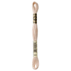 DMC embroidery floss – ULTRA VERY LIGHT BGE BRN (543)
