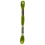 DMC embroidery floss – MOSS GRN (581)