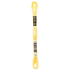 DMC embroidery floss – VERY LIGHT TOPAZ (727)