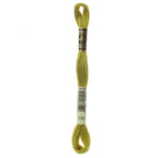 DMC embroidery floss – MED OLV GRN (733)