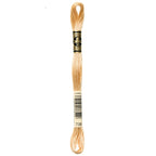 DMC embroidery floss – VERY LIGHT TAN (738)