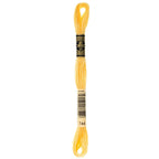DMC embroidery floss – PALE YLW (744)