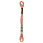 DMC embroidery floss – VERY LIGHT TERRA COTTA (758)