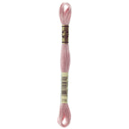 DMC embroidery floss – VERY LIGHT ANT MVE (778)