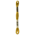 DMC embroidery floss – LIGHT GLDN OLV (833)
