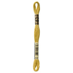 DMC embroidery floss – VERY LIGHT GLDN OLV (834)