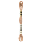 DMC embroidery floss – LIGHT BGE BRN (841)