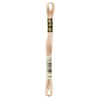 DMC embroidery floss – VERY LIGHT BGE BRN (842)