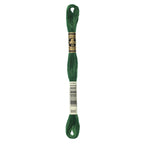 DMC embroidery floss – VERY DARK HTR GRN (895)